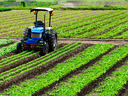 Agricultura