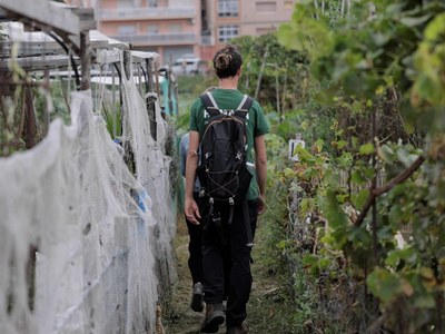 Compte enrere per als horts urbans a Premià de Dalt