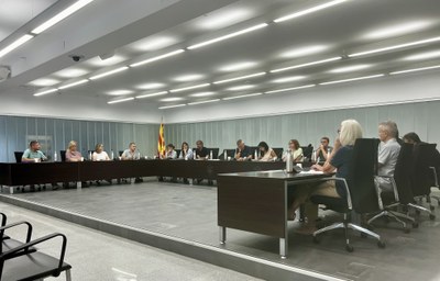 Crònica del Ple: Del català als nous accessos de la C-32, un Ple marcat pels projectes de futur