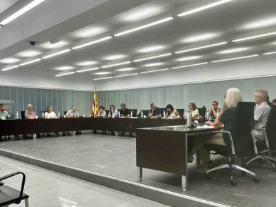 Crònica del Ple: Del català als nous accessos de la C-32, un Ple marcat pels projectes de futur