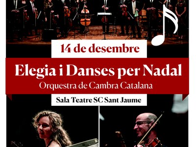 El 14 de desembre, concert de Nadal de l’Orquestra de Cambra Catalana