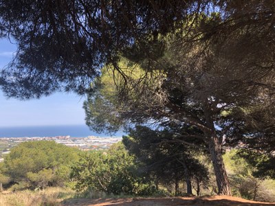 El Consorci de Turisme del Maresme edita un mapa de rutes per fer senderisme a la comarca