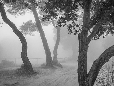 El Parc de la Serralada Litoral convoca el 16è Concurs fotogràfic