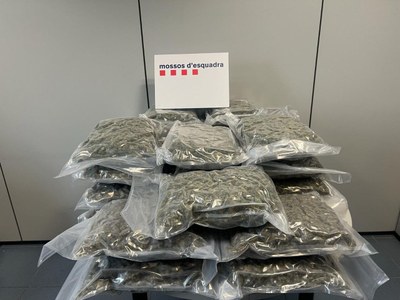 Els Mossos d’Esquadra desmantellen dues plantacions de marihuana a Premià de Dalt