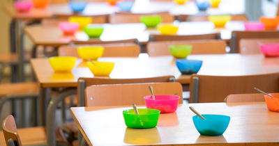 En vigor els nous criteris per accedir als ajuts de menjador escolar
