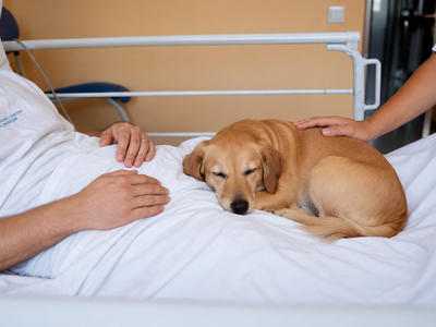 L’Hospital Universitari de Mataró facilita als pacients en situació de final de vida acomiadar-se de les seves mascotes