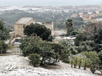 La neu enfarina els punts més alts de Premià de Dalt